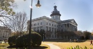 Know this about special statehouse primary in Summerville