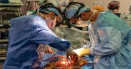 Kerala Faces Cardiac Surgery Crisis as Equipment Shortage Halts Operations at Two Medical Colleges