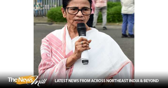 Two bridges collapsed, roads damaged, swathes of land inundated: CM Mamata Banerjee on flood situation