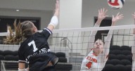 Nickel, Celina volleyball firing on all cylinders down the stretch