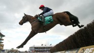 Cheltenham Festival tickets early bird discount for 2026