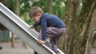 4-Year-Old Rebel Defies Convention And Climbs Up Slide