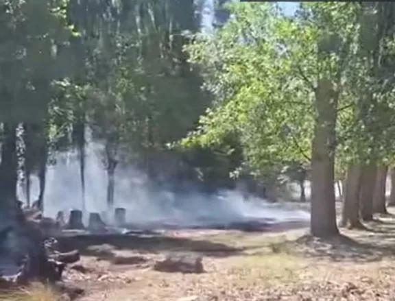 Bomberos de Plottier controlaron un incendio cerca de una escuela