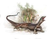Enigmatic Jurassic reptile looks like a mix of snake and lizard