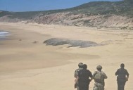 Hallan cuerpo sin vida en playa de Los Cabos; se presume ahogamiento