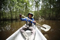 Secretos de los manglares de Belice: Cómo los hogares invisibles mayas están reescribiendo la historia costera