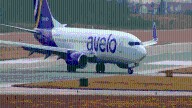 Avelo adds extra flights from New Haven to four cities around Thanksgiving