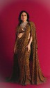 Kareena Kapoor Khan Stuns in a Sabyasachi Animal-Print Saree, Redefining Bold Elegance