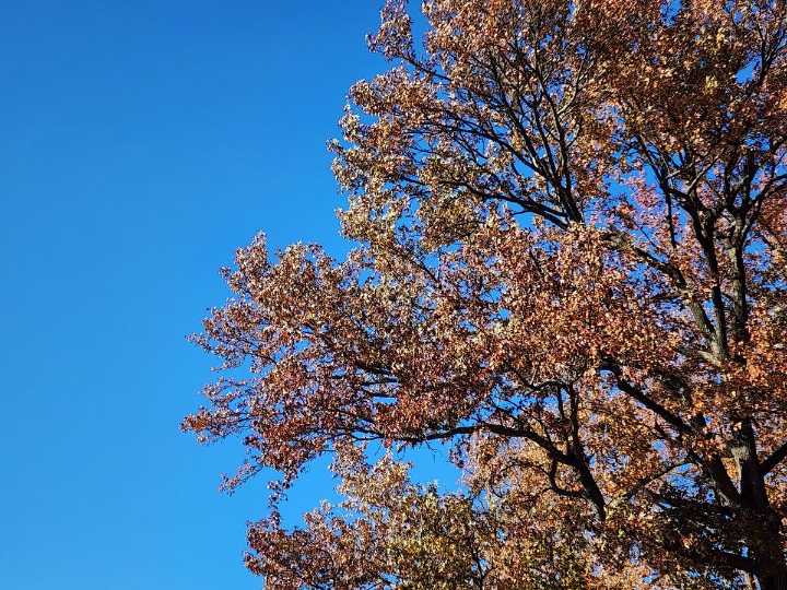 NJ weather: Staying cool and dry through the weekend