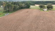 NC farmers say soybeans are latest casualty of trade war between U.S. and China