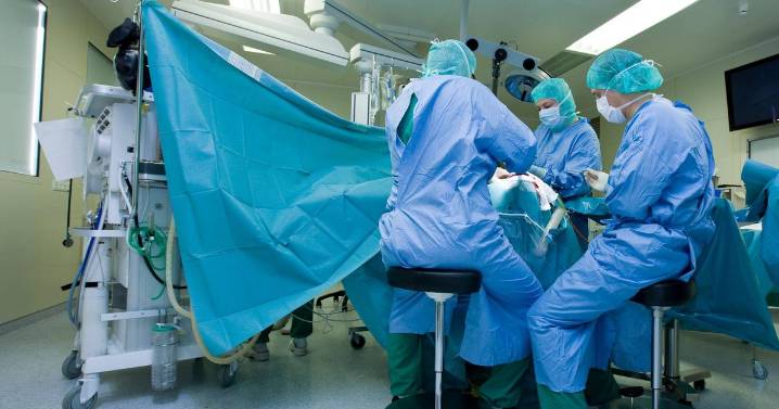 Brain surgeon arrested after 'letting daughter, 12, drill into patient's skull'