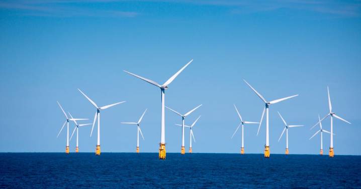 Scotland 'squandering' profits made by offshore wind farms as foreign developers cash