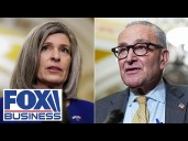 ‘THIS IS ALL BECAUSE OF ONE MAN’: GOP sen calls out the man behind the shutdown chaos