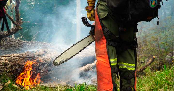 «Ecos del Fuego»: llegaron al cine las voces de quienes combaten incendios en la Patagonia