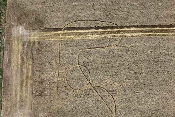 Misterio por la aparición de extrañas figuras en campos sembrados con trigo de Avellaneda