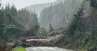 Fall storm sweeps across B.C.