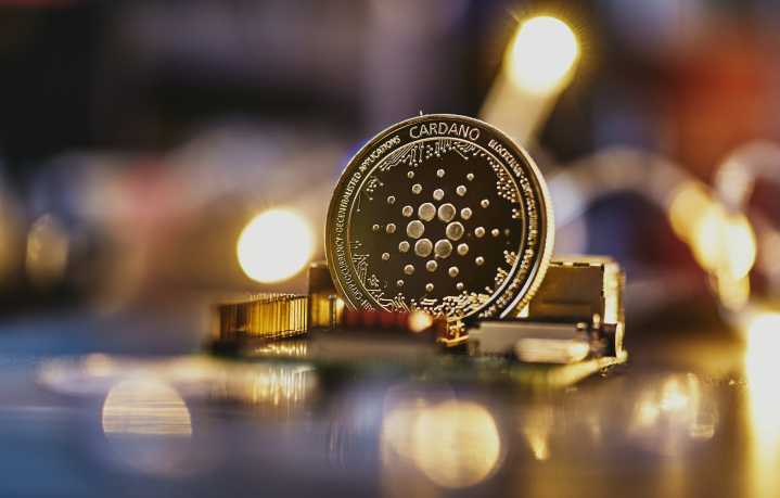 Cardano Institutional Wave: Big Money Pours Into ADA Amid Surging Blockchain Adoption