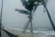 Lluvia, lluvia y más lluvia: ¿En qué estados caerán las tormentas más fuertes este fin ...