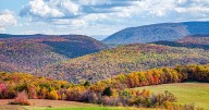 Map shows most of Pennsylvania will see peak fall foliage this week