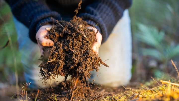 Figure Out Your Garden Soil's Type By Using Just Your Hand