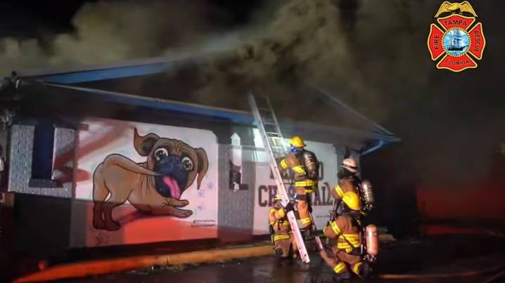 Los bomberos apagan incendio en un bar para perros cerrado en South Tampa