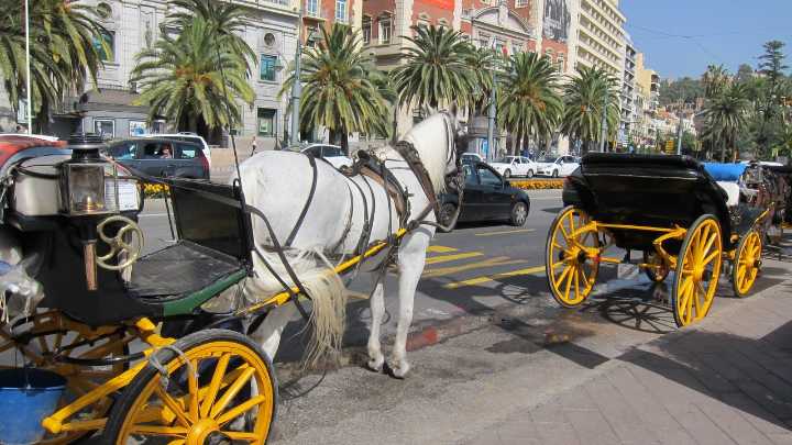 Málaga dice adiós a los coches de caballos: revocadas las 25 licencias