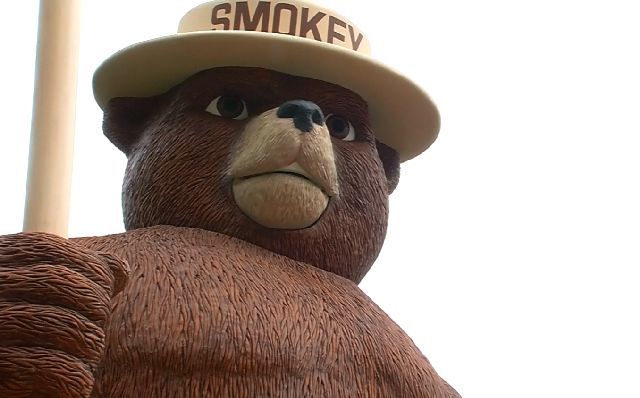Increased fall wildfire risks, PA urges caution