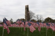 Naperville News Digest