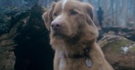 El terror visto por un perro: inteligente y original ejercicio
