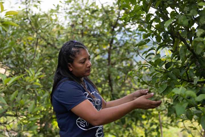 Liderazgo femenino rural impulsa el desarrollo sostenible en Colombia