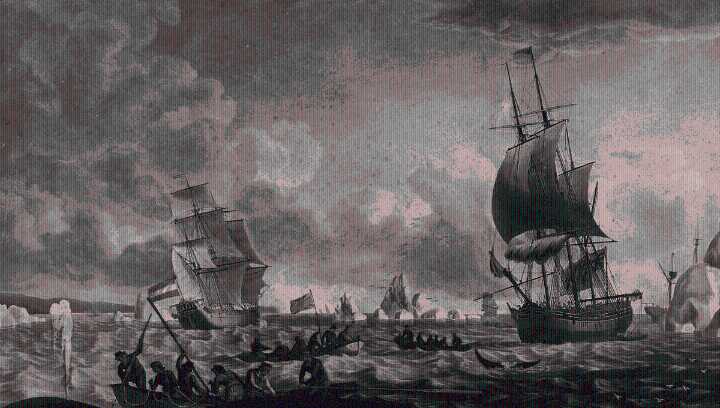 A 100-Year-Old Harpoon Was Found Embedded In The World’s Longest