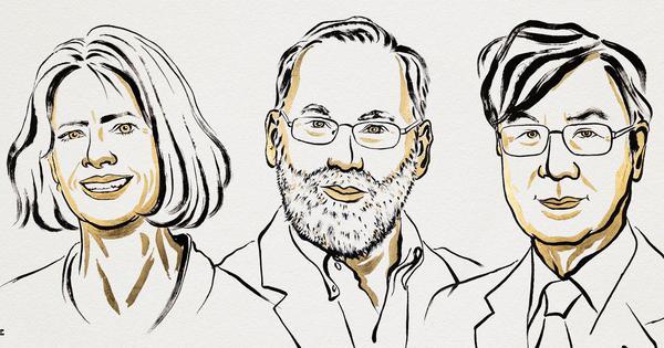 Nobel Prize in Medicine honours research into immune system’s delicate balancing act
