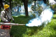 Acumulan cinco estados 53% de los contagios de dengue; Veracruz lidera