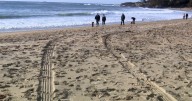 College students' joyride on Massachusetts beach ends when rising tide destroys car, "We were really scared"