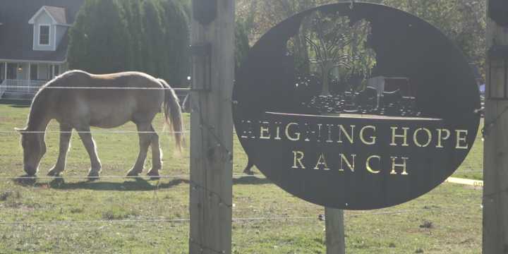 Reigning Hope Ranch holds 5th Annual Fall Festival in Orrington