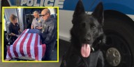 New Bedford Police bid final farewell to loyal, good boy “Thor”