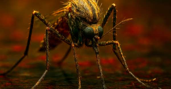 ¿Se aproxima otra pandemia? Un nuevo virus silencioso acecha a EE.UU. y enciende todas las alarmas en el continente