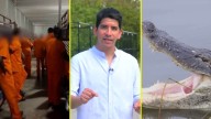 Viven en jaulas y rodeados de caimanes: Chilenos presos en Alligator Alcatraz rompen su silencio con "Cárceles del Poder"