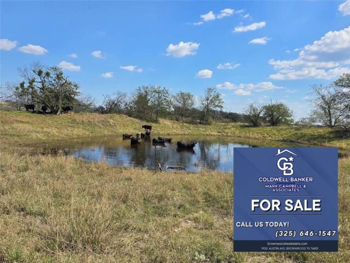 Amazing Hunting Property for Sale in Dublin