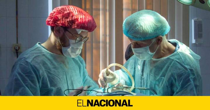 Primer trasplante a un humano vivo de un hígado de cerdo modificado genéticamente