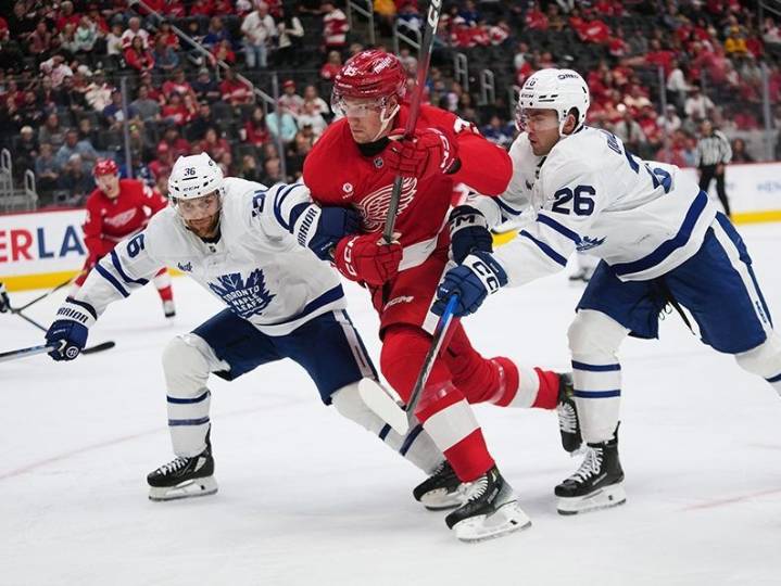 Nick Robertson shines, Dennis Hildeby, James Reimer busy in Leaf loss