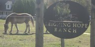 Reigning Hope Ranch holds 5th Annual Fall Festival in Orrington