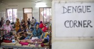 Climate change is increasing and expanding the spread of dengue