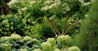 ON GARDENING: The Temple of Bloom is home to favorite butterflies