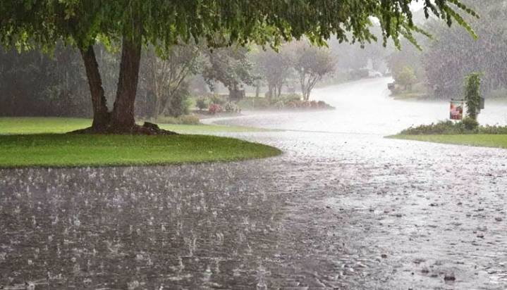 Light To Moderate Rain Expected In 8 Odisha Districts Within 3 Hours