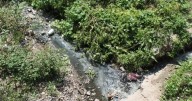 Descarta Galindo descargas de aguas negras en Río Paisanos