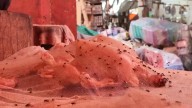 Video: Impactante recorrido de un Youtuber colombiano por el mercado considerado ‘el más sucio’ del mundo: realidad devastadora