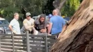 'He showed no mercy': Gunman in Los Angeles disarmed, beaten by victim