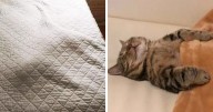 People In This Online Group Shared 50 Of The Coziest Tucked