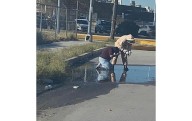 Picaron abejas 400 veces a empleada de Ecología